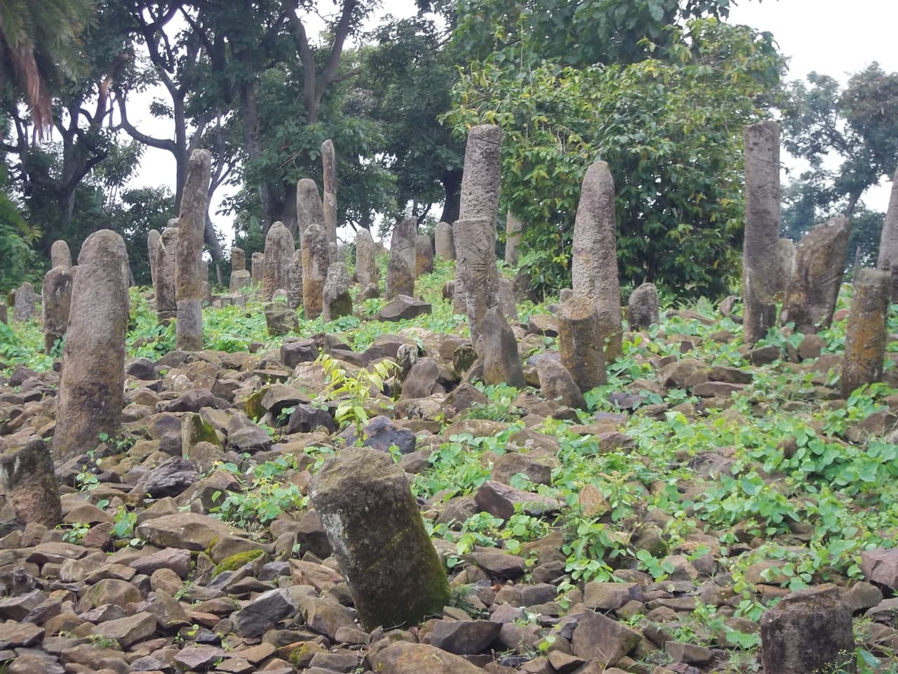 1 Day — Tiya Stelae — photo 4