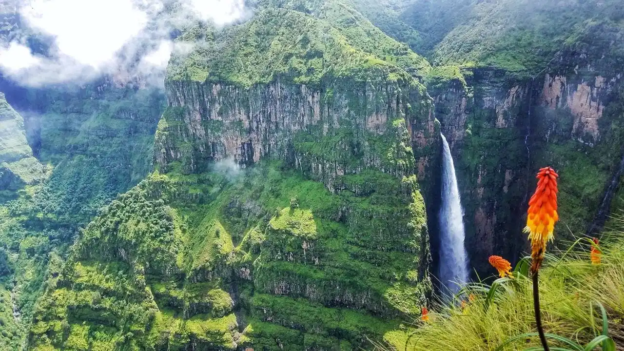 Waterfall and red hot poker flower in Simien Mountains National Park, Ethiopia