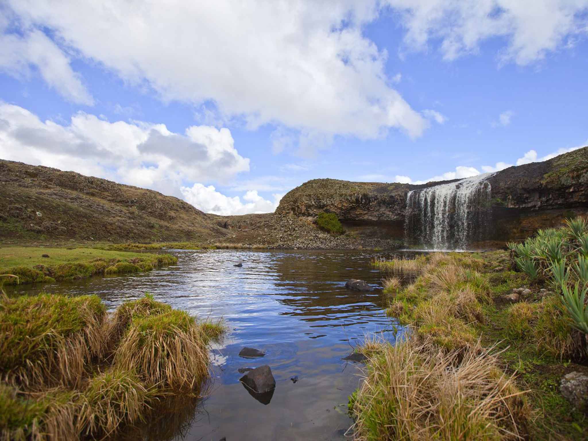 6 Days — Bale Mountains, Sof Omar & Hawassa — photo 1